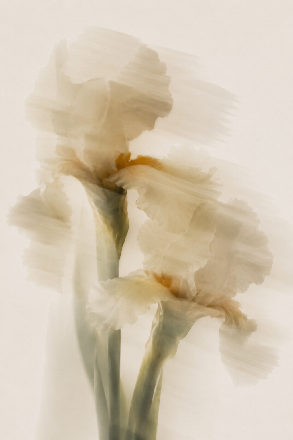 Thè Ritual - Linen mist